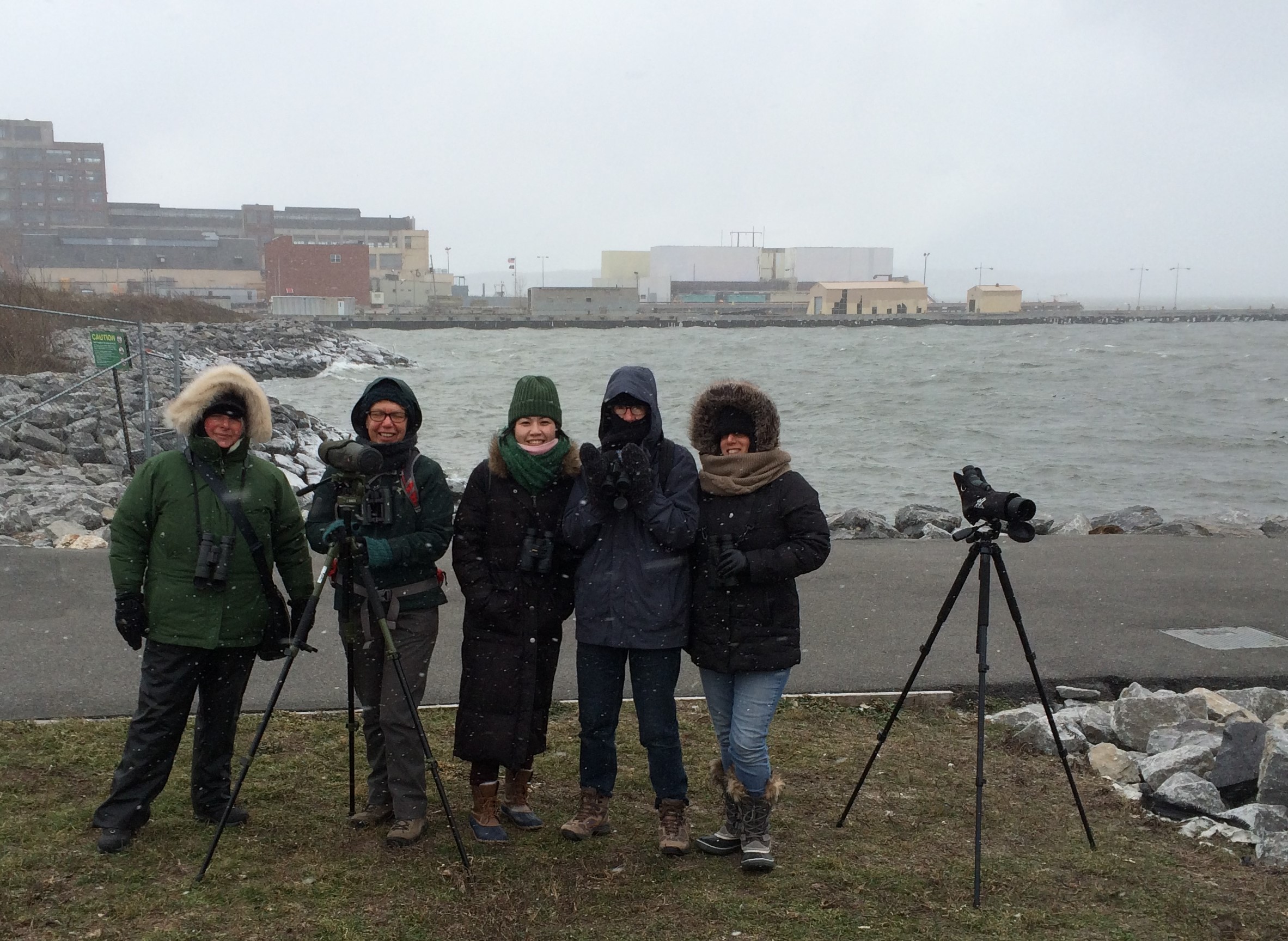 bush terminal birders (2)