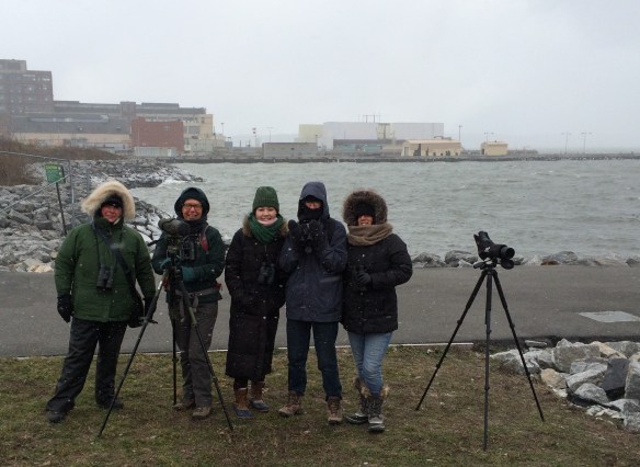 bush terminal birders (2)