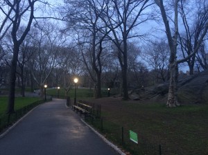 pre-dawn Central Park
