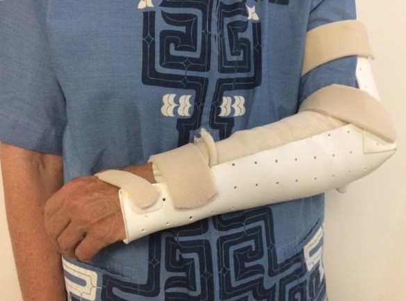 23A035C3-DD79-499E-A1E7-4C3C15253C7F