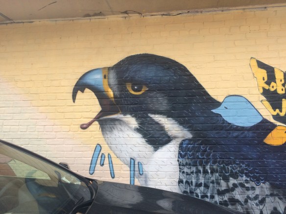 Bushwick falcon 1