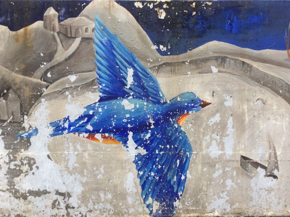 458ECDBE-EC23-4B77-9D3D-4735D6D62419