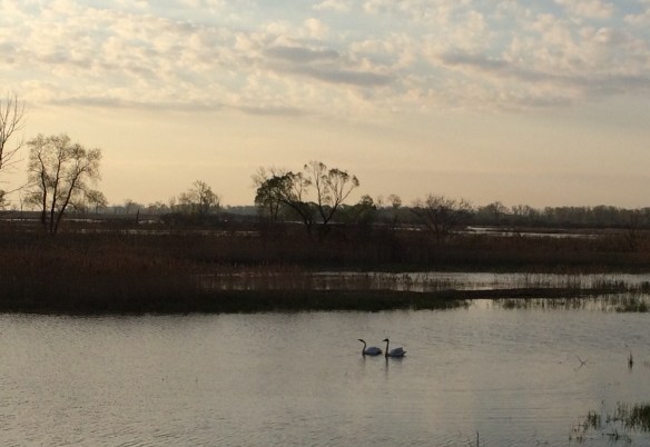 896B62B7-FE99-45AA-97B9-70A5CEDB6673