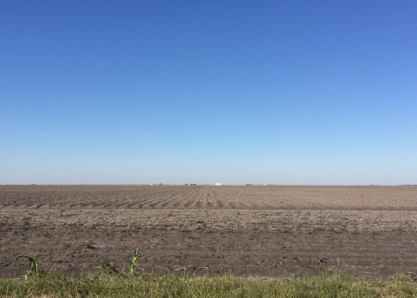 IMG_7570 (Edited) (2)