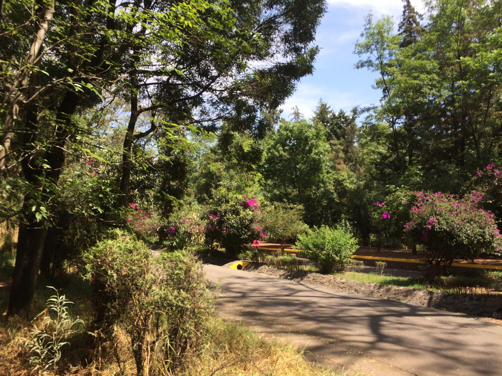 DFCCE469-1996-45EB-A04F-844AC1A3203F